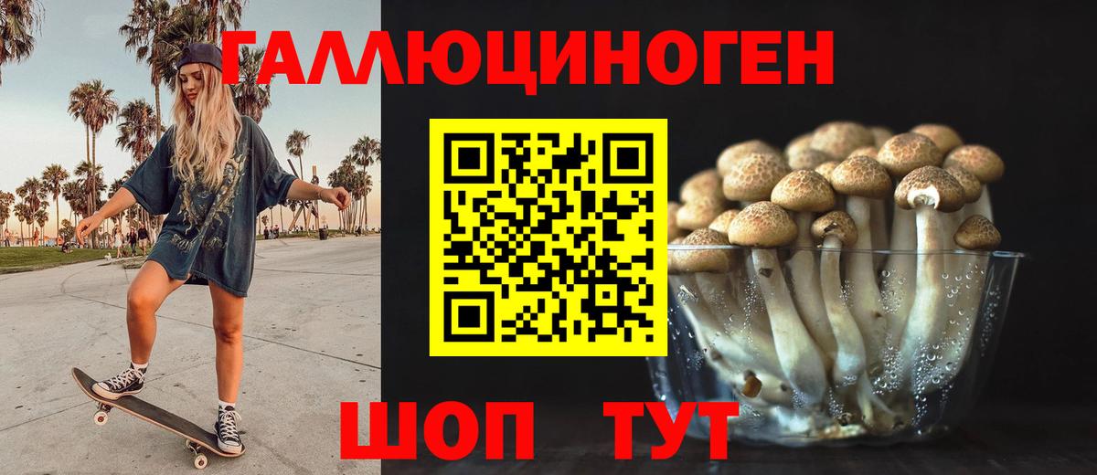 Псилоцибиновые грибы Cubensis Нефтеюганск